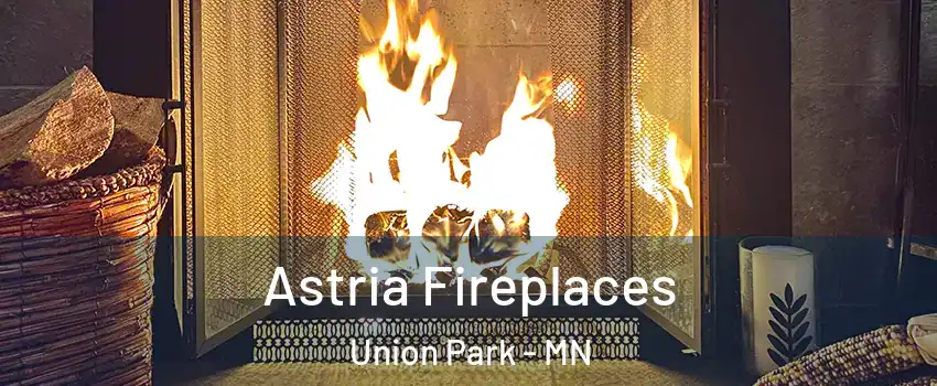 Astria Fireplaces Union Park - MN