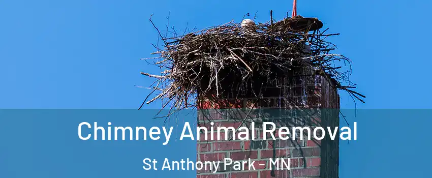 Chimney Animal Removal St Anthony Park - MN