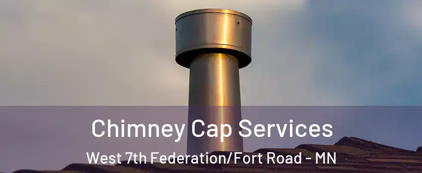 Chimney Cap Services West 7th Federation/Fort Road - MN