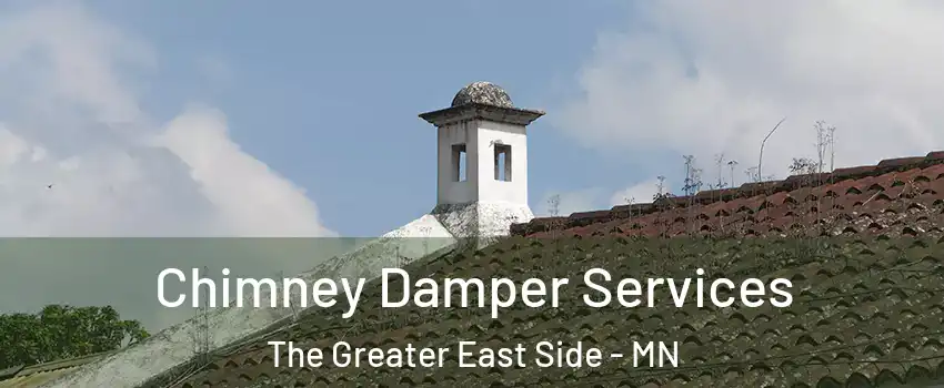 Chimney Damper Services The Greater East Side - MN