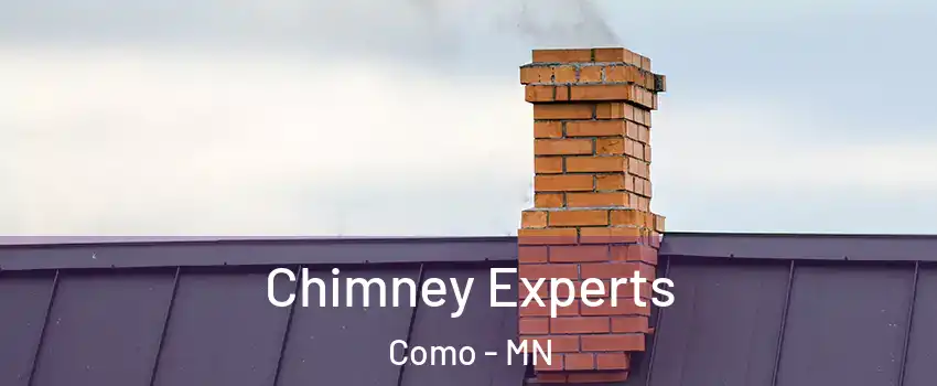 Chimney Experts Como - MN