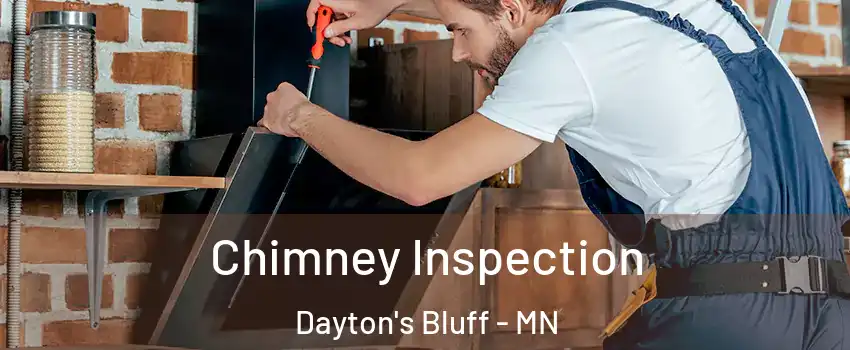 Chimney Inspection Dayton's Bluff - MN