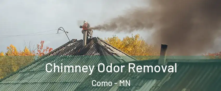 Chimney Odor Removal Como - MN