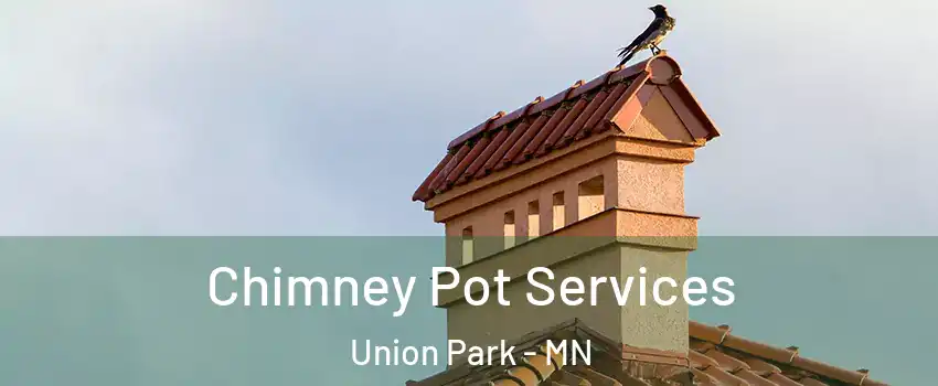 Chimney Pot Services Union Park - MN