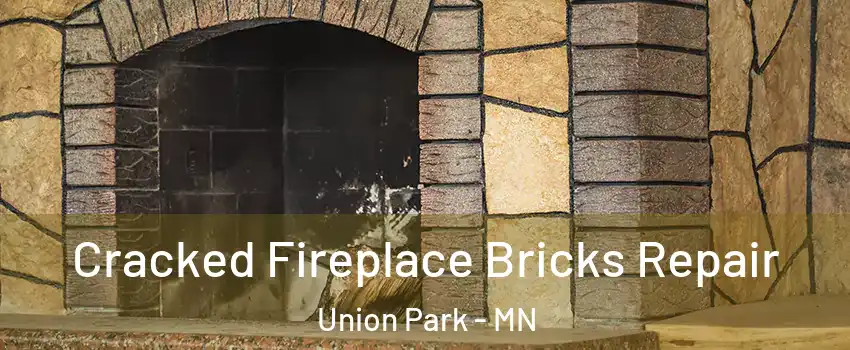 Cracked Fireplace Bricks Repair Union Park - MN