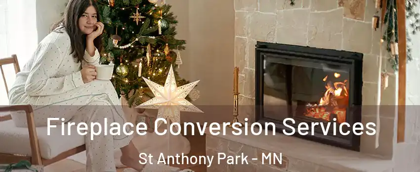 Fireplace Conversion Services St Anthony Park - MN