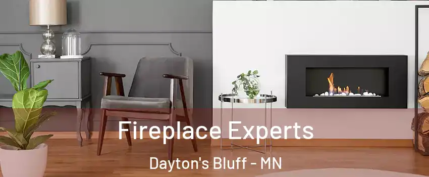 Fireplace Experts Dayton's Bluff - MN