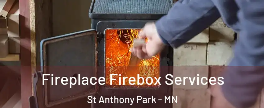 Fireplace Firebox Services St Anthony Park - MN