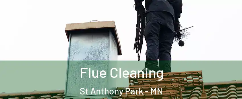 Flue Cleaning St Anthony Park - MN