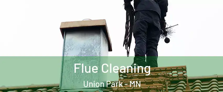 Flue Cleaning Union Park - MN