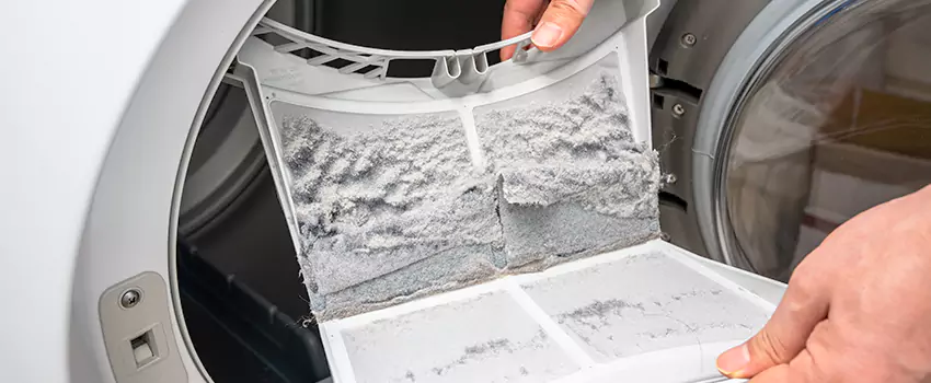 Best Dryer Lint Removal Company in The Greater East Side, Minnesota