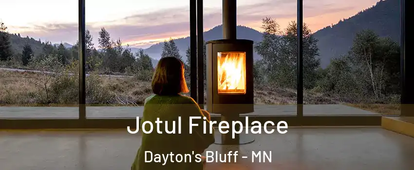 Jotul Fireplace Dayton's Bluff - MN