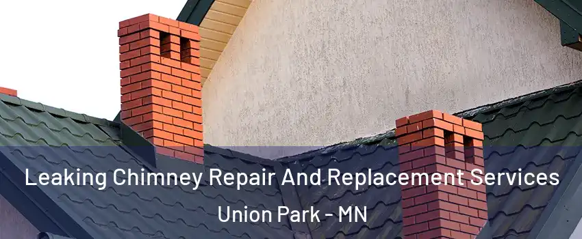 Leaking Chimney Repair And Replacement Services Union Park - MN