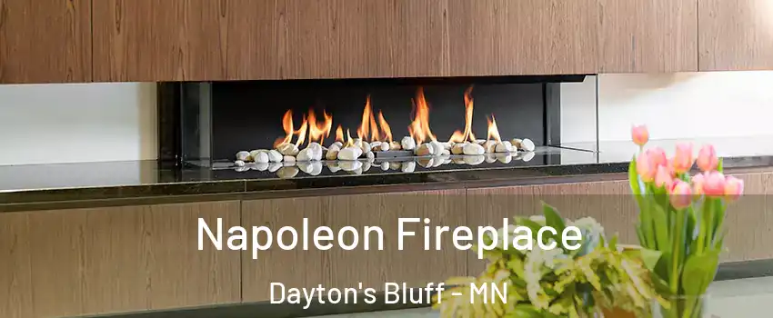 Napoleon Fireplace Dayton's Bluff - MN